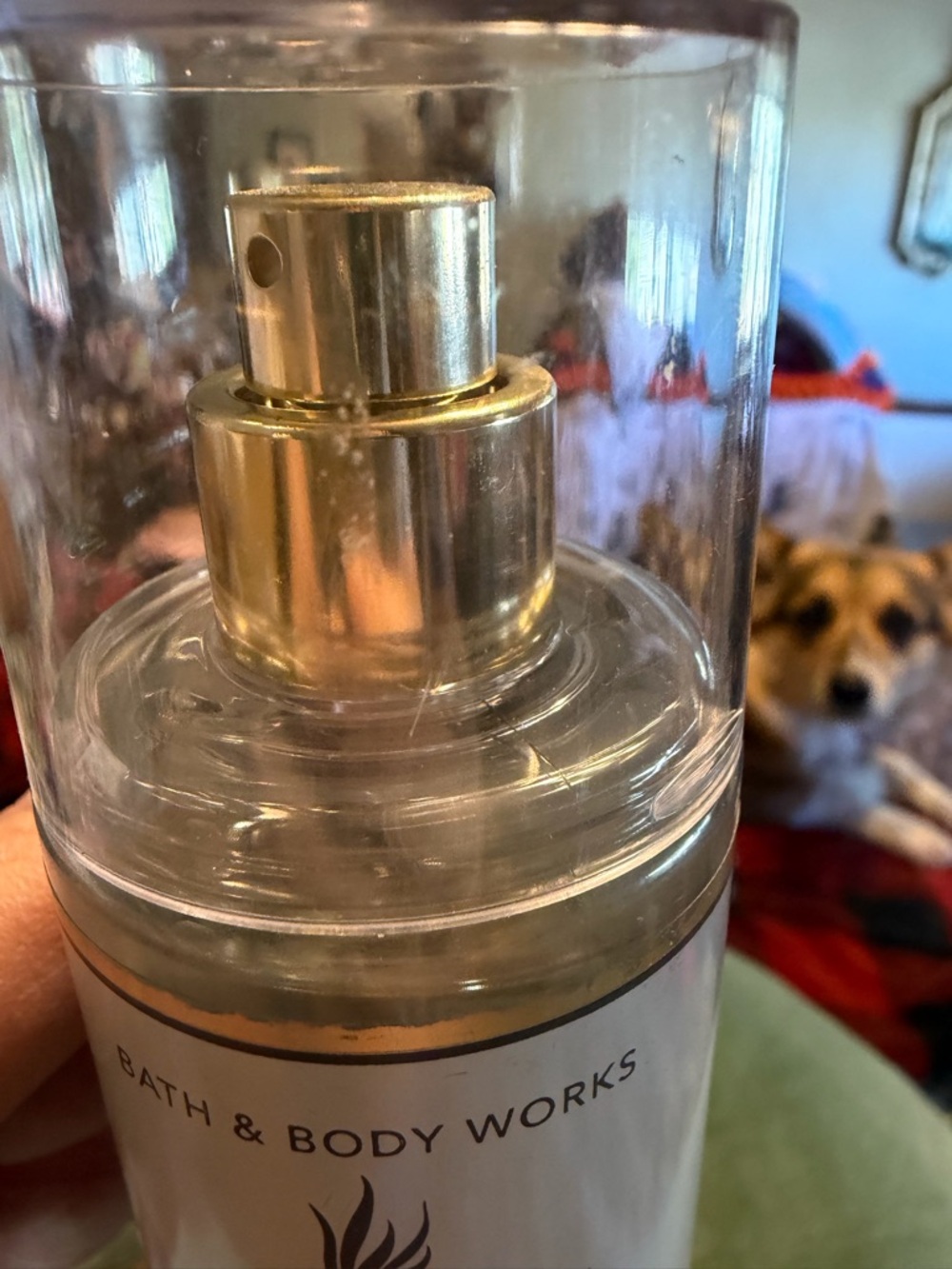 Bath & Body Works Golden Ocean Pearl ,White T Shirt, Tropedelic Ltd edition - Picture 5 of 10